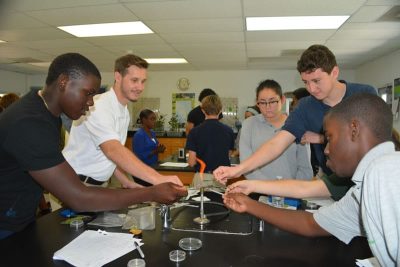 Students in the mangrove education and restoration program at Forest Heights Academy prepare their leaf samples and place them in agar plates.
