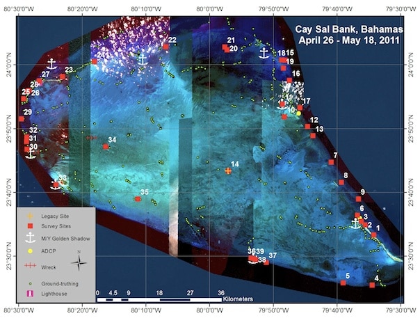 marine habitats of Cay Sal Bank marine habitats of Cay Sal Bank