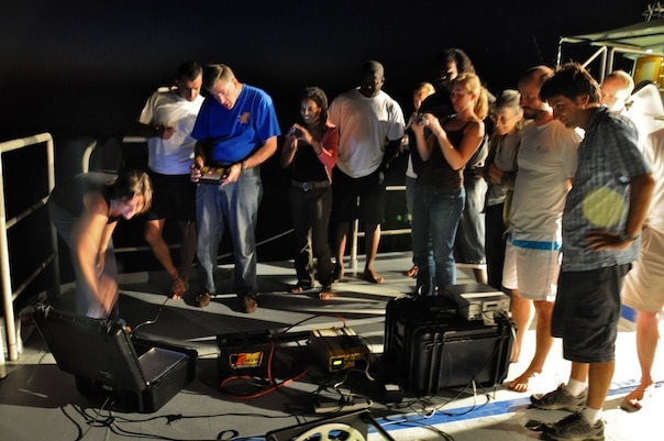 Phil drove the ROV along the reef Phil drove the ROV along the reef