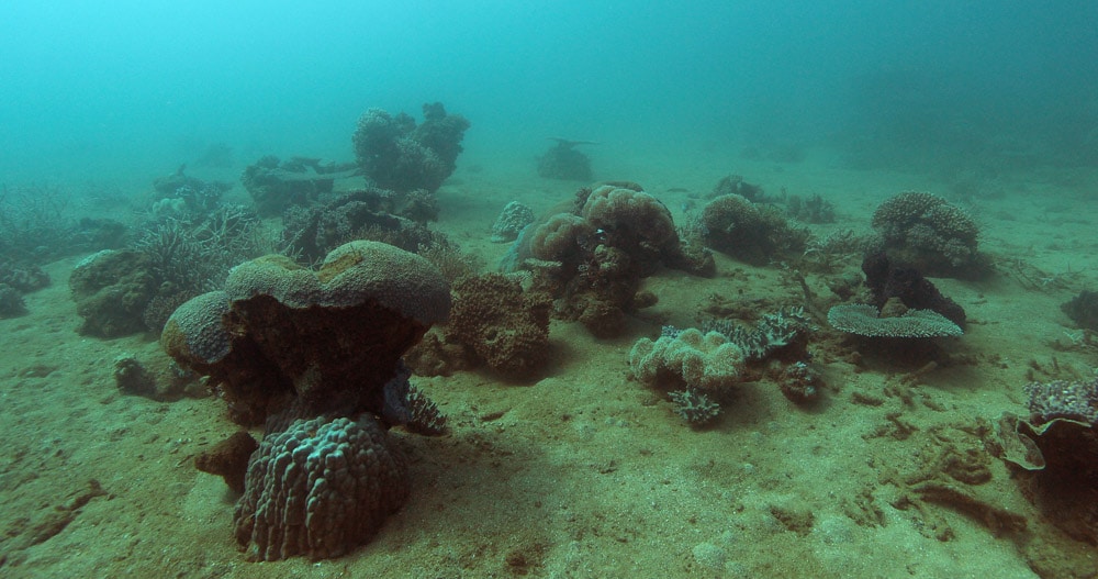 Habitat Mapping of Coral Reef Ecosystems
