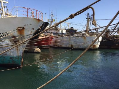 The Kunlun, renamed the Asian Warrior ̧ was finally captured in the port of Dakar