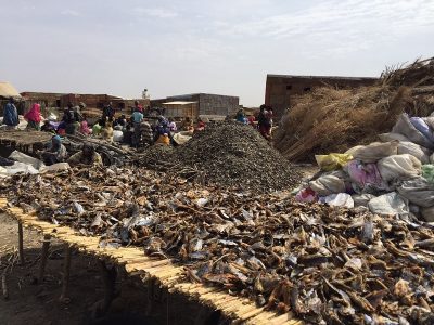 Joal's 'smoking area."