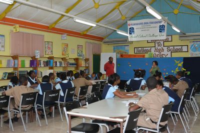 Jamaican Mangroves JAMIN 2