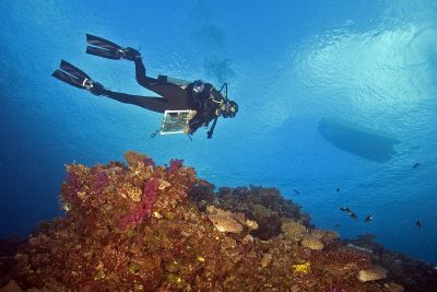 KSLOF-scientist-in-Fiji