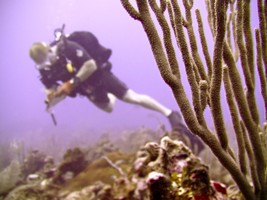Mike Haley doing a bottom survey on the last day