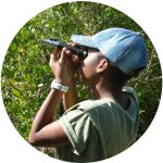 J.A.M.I.N. Student Voice 2017-18