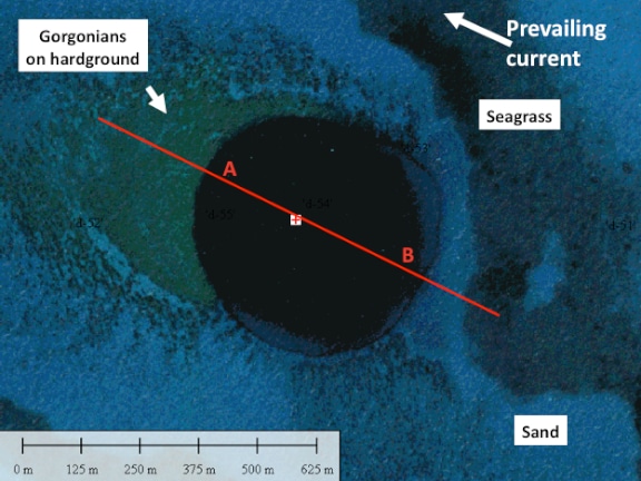 Aerial view of a Bahamian blue hole in Cay Sal studied during the Cay Sal Global Reef Expedition. Note the transect line intersecting the geologic feature with two points labeled 'A' and 'B' on either side of the blue hole. Aerial view of a Bahamian blue hole in Cay Sal studied during the Cay Sal Global Reef Expedition. Note the transect line intersecting the geologic feature with two points labeled 'A' and 'B' on either side of the blue hole.