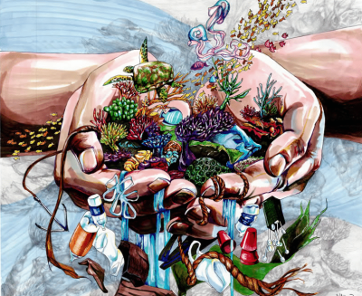 Science Without Borders Challenge