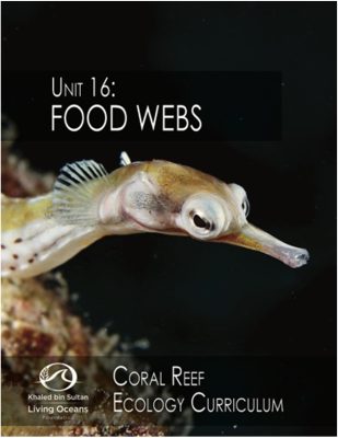 Unit 16 Food Webs