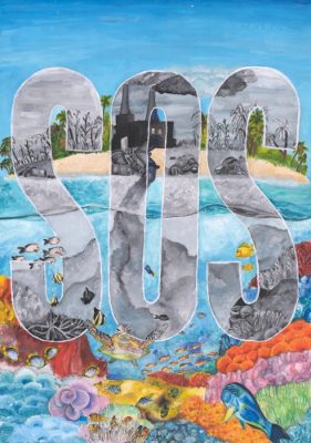 Science without Borders® Challenge 2018 High School Finalists