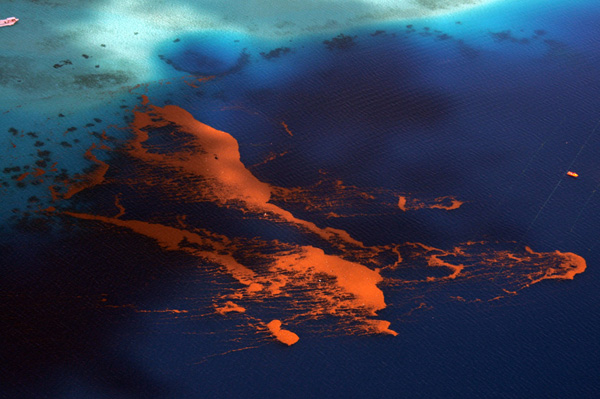 Coral spawning slick in the lagoon off Tahaa Coral spawning slick in the lagoon off Tahaa