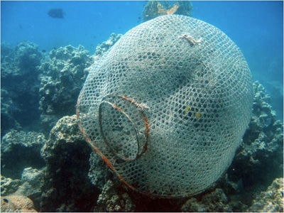 A typical fish trap.
