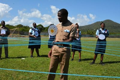 mangrove food web activity at Jamaican mangrove project 3