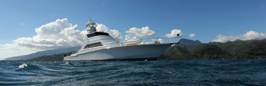 The Golden Osprey is kindly serving as our dive boat until the Golden Shadow can get underway again The Golden Osprey is kindly serving as our dive boat until the Golden Shadow can get underway again