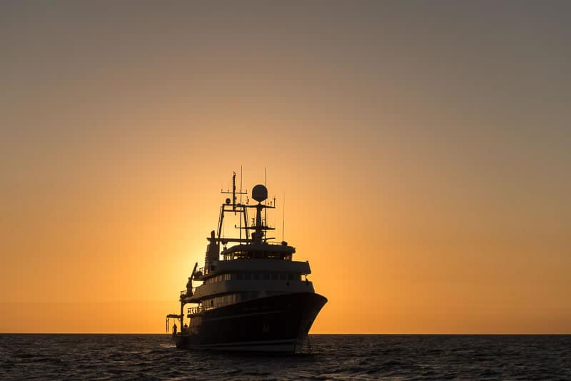 Golden Shadow at sunset.