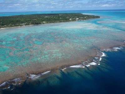 lagoonal habitats occupied by coral and cots