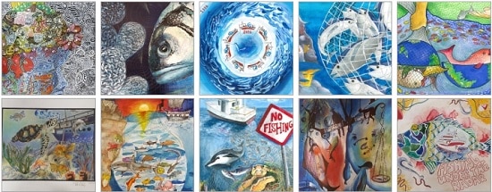 2016 Science Without Borders® Challenge Middle School Winners