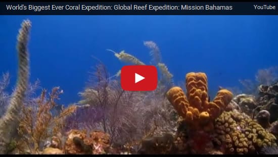 Mission Bahamas Video