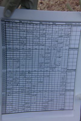 notes from a photo transect