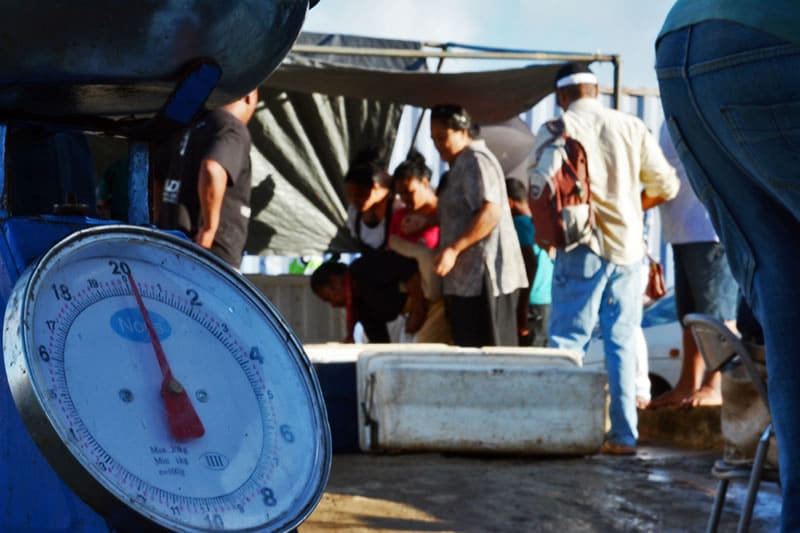 Scales at the fish market in Vava'u, Tonga.
