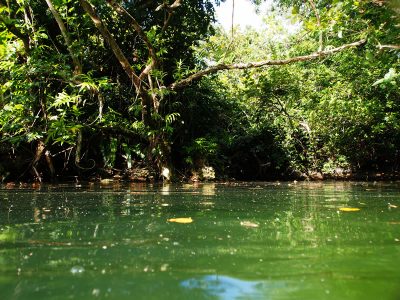 the Anguar marine lake