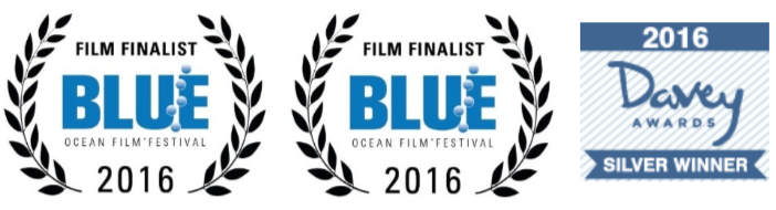 Coral Reefs - Trouble in Paradise Awards