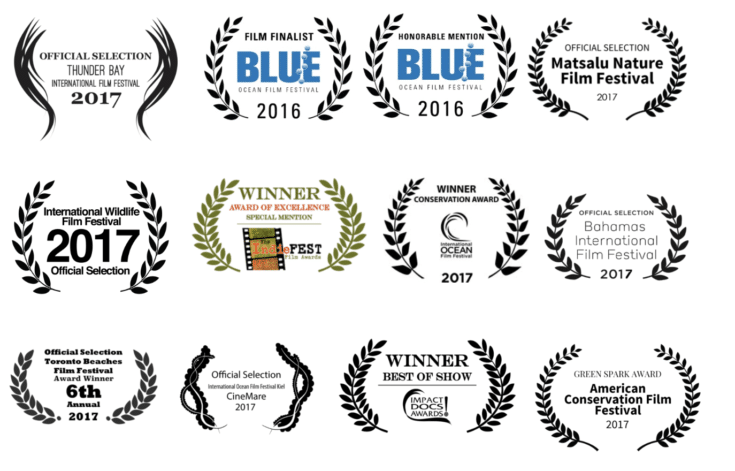 An Ocean Mystery: The Missing Catch Awards