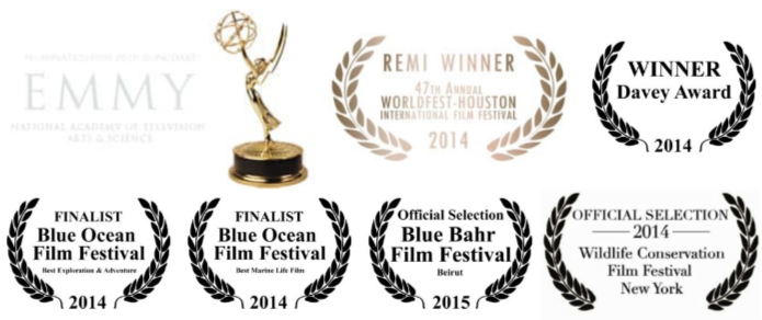 Sharks of the Coral Canyon Awards