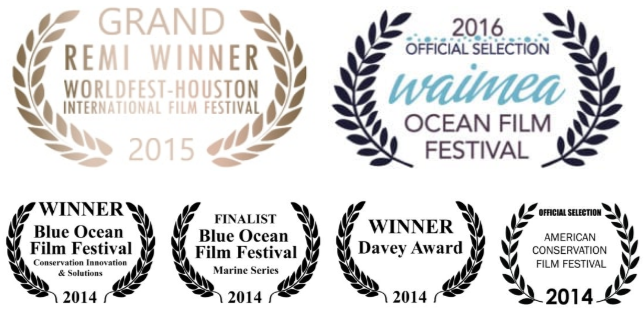 Mapping the Blue Awards