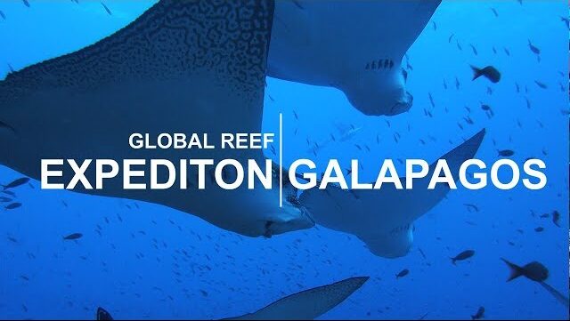 Galápagos Episode