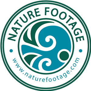 Nature Footage logo