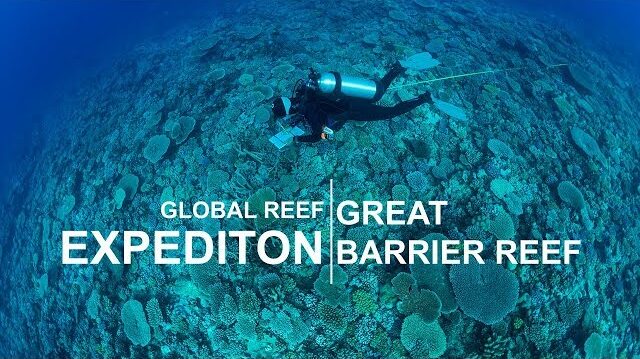 Great Barrier Reef Episode