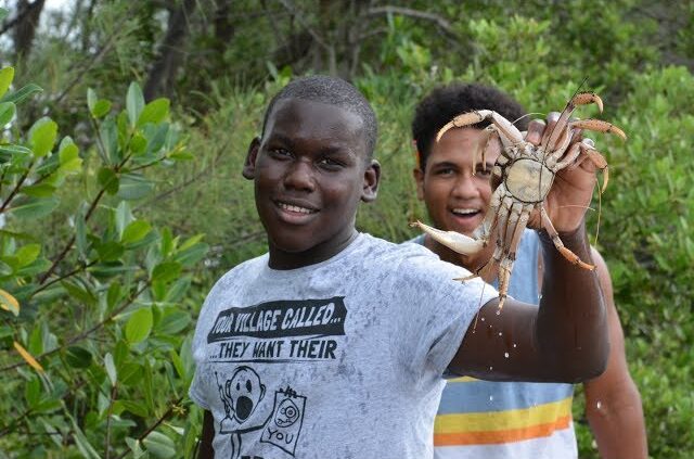 Inside the Mangrove Classroom