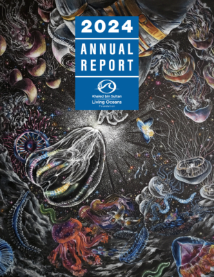 KSLOF 2024 Annual Report