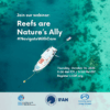 Reefs are Nature’s Ally: Join Our Next Navigate with Care Webinar