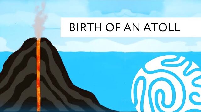 Birth of an Atoll