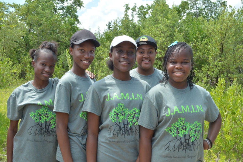 J.A.M.I.N. Spring 2018