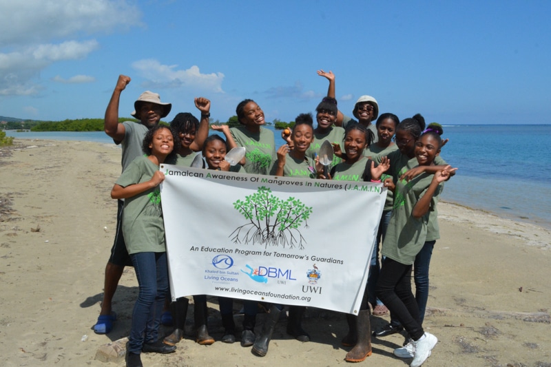 J.A.M.I.N. Spring 2018