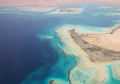 Red Sea Coral Reef Biodiversity