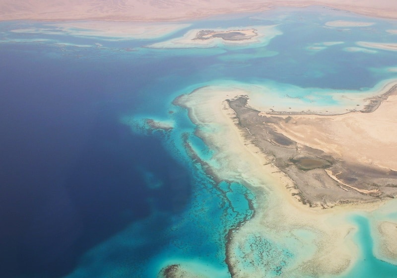 Red Sea Coral Reef Biodiversity