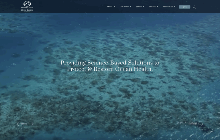 Website-homepage-screenshot