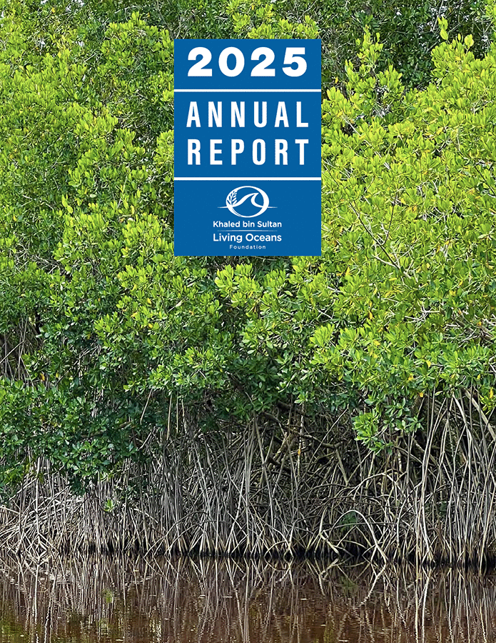2025-Annual-Report-Cpver