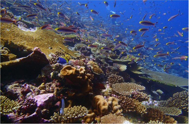 Chagos-Anderson-Fig1