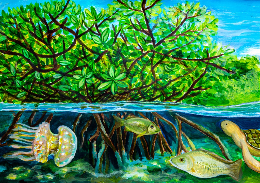 "Home of Our Mangrove Creatures" by Gwyneth Chun, Age 13, Republic of Korea