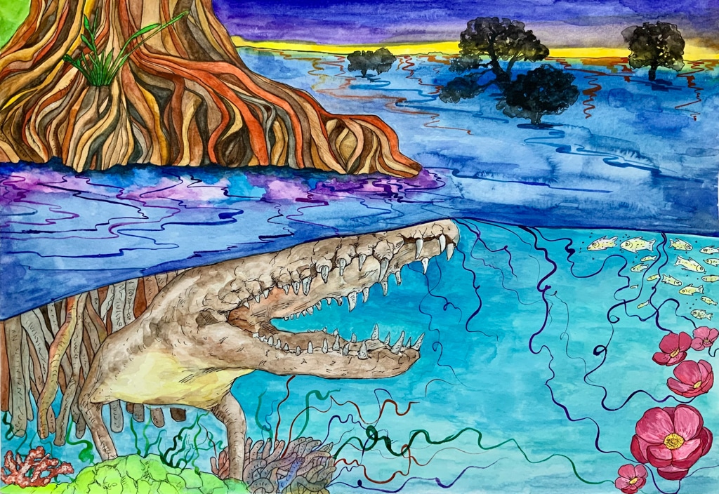 "Resilient & Biodiverse: Mangroves" by Ava Park, Age 14, California, United States of America