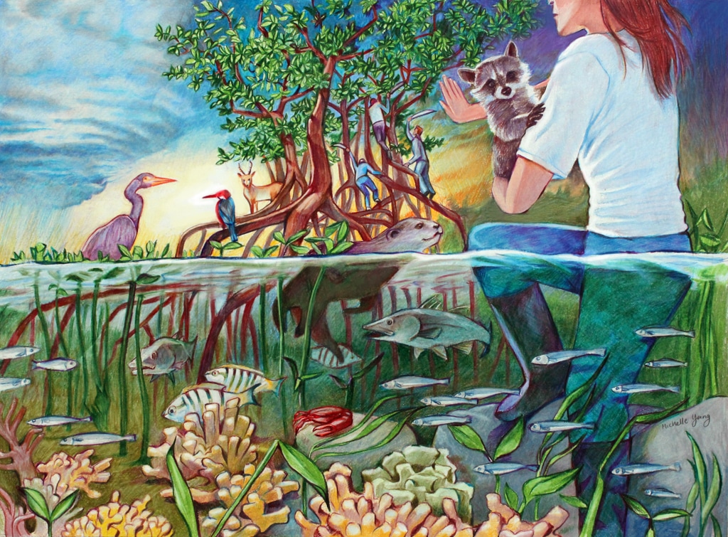 "Stop, Let's Preserve Our Mangroves" by Michelle Yang, Age 16, California, United States of America