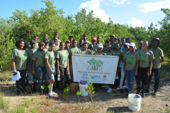 Students participating in year 2 of KSLOF's mangrove education and restoration program.