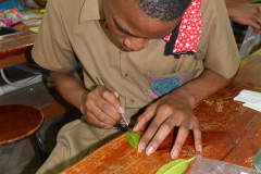 Students cut sections of mangrove leaves for plating.